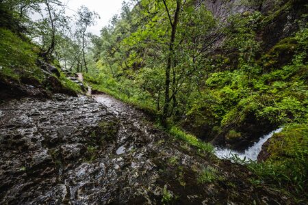 Picturesque landscape of a mountain river with traditional nature of Scotland.の写真素材