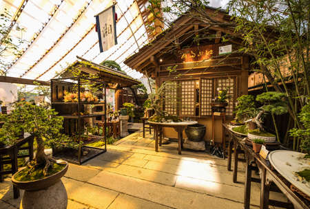 BEIJING, Ð¡HINA - JUNE 01, 2019: International Horticultural Exhibition 2019, Beijing, China.のeditorial素材