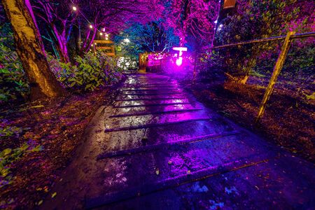 Multi-colored night lighting of the Scottish house garden.