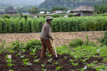 INDONESIA, BALI - JANUARY 20, 2011: Authentic Indonesia People.のeditorial素材