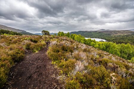 Beautiful mountains landscape of Scotland nature with beautiful evening cloudy sky.の写真素材