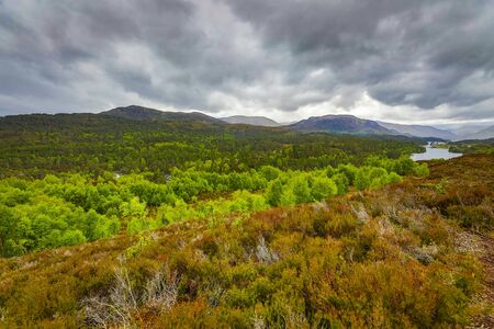 Picturesque landscape of a mountain forest with traditional nature of Scotland.の写真素材