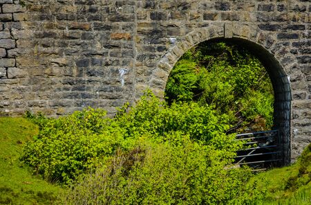 Old bridge and picturesque Scotland morning landscape.の写真素材