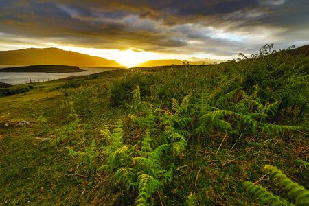 Beautiful scenic landscape of Scotland nature with beautiful evening sun set skyの写真素材