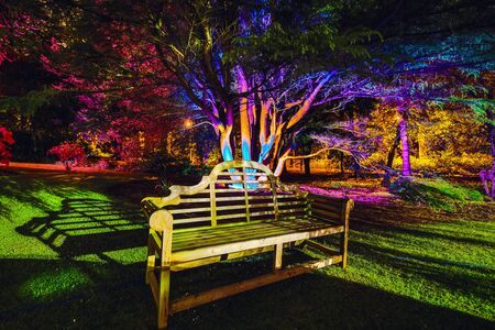 Multi-colored night lighting of the Scottish house garden.の写真素材