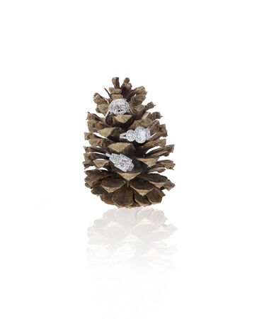 Diamond rings nestled into a pinecone isolated on whiteの写真素材