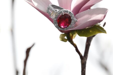 Pink diamond tourmaline engagement ring hidden amongst tree bloomsの写真素材