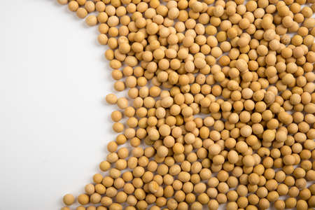 soy bean on white backgroundの写真素材