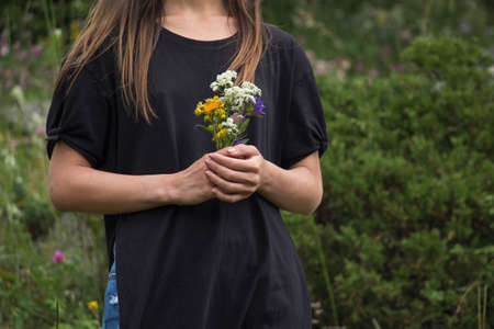 Female hands holding wildflowers, summerの写真素材