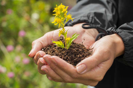 The salvation of nature in human hands