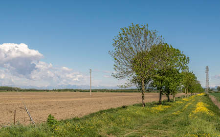 Farmer fields in Hinterland Gradoの写真素材