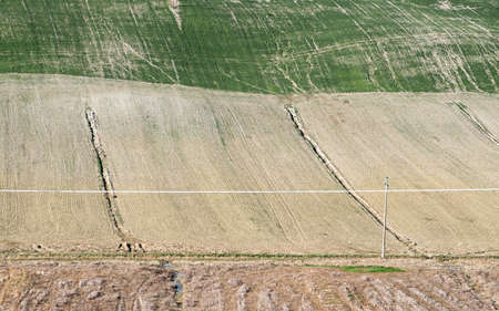 Views of the Siena countrysideの写真素材