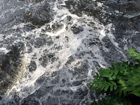 Black Dirty Currentの写真素材