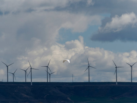 Wind turbines generating electricity in a wind farm on a cloudy day.