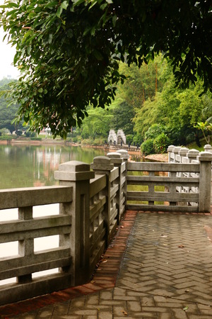 Plant landscapeの写真素材