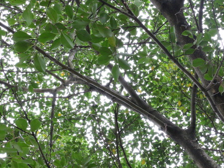 Plant landscapeの写真素材