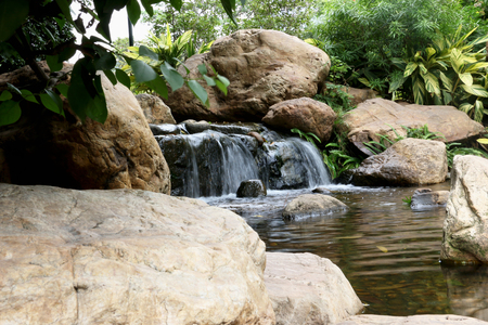 Plant landscapeの写真素材
