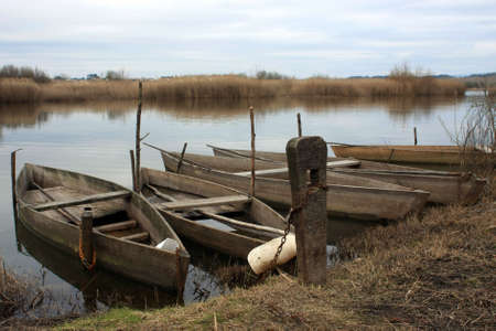Some old wood boats on a lake shoreの写真素材