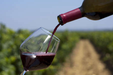 A wine bottle with a vineyard as backgroundの写真素材