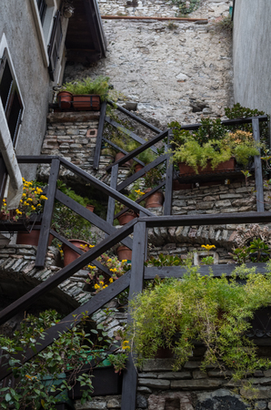 Greens growing outside in the old town of Limone sul garda at the Garda Lake, Italyの写真素材