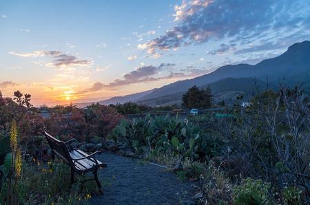Bench in a garden with a beautiful sunset on La Palma, Canary Islands, Spainの写真素材