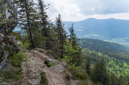 Beautiful view from summit of Grosser Osser, Bavarian National Park, Germanyの写真素材