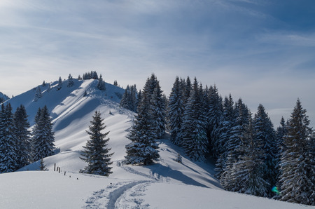 Lonely ski touring in beautiful sunny winter landscape, Oberstdorf, Allgau, Germanyの写真素材