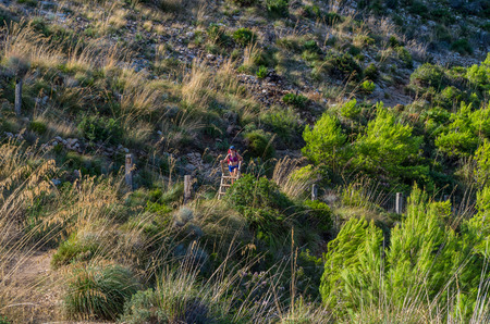 Female hiking in the mountains of Tramuntana, Mallorca, Balearic Islands, Spainの写真素材