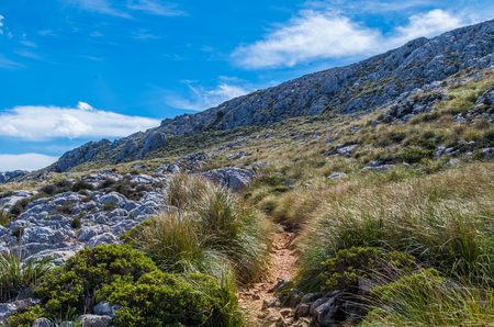Hiking path in the Tramuntana on GR 221, Mallorca, Spainの写真素材