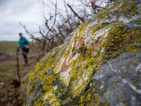 Hiking on the trail of Lahnwanderweg at the river Lahn near Runkel, Hessen, Germanyの写真素材