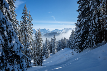 Skitour in the Allgaeu Alps near Oberstdorf on a beautiful bluebird day in winterの写真素材
