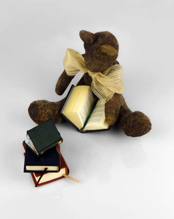 books bearの写真素材