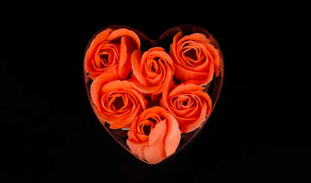 Gift for the girl with the heart rosebuds insideの写真素材