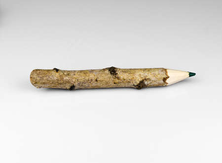 Wood pencil with green leaf white backgroundの写真素材