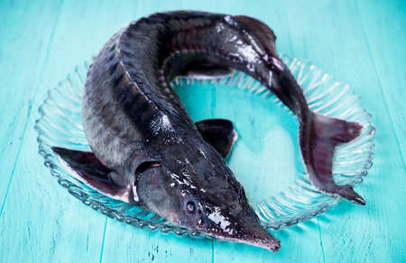 On the green-blue wooden background large clear glass dish with a large of whole raw fish sturgeonの写真素材