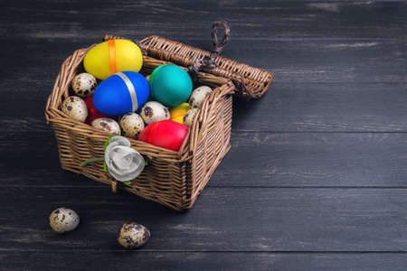 Wicker basket with colored chest chicken and quail eggs, flower white rose on a black wooden background, clean empty space for textの写真素材