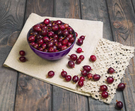 Ripe red purple berry gooseberries in purple bowl on gray wooden table. Gooseberry berries on the table cloth.の写真素材