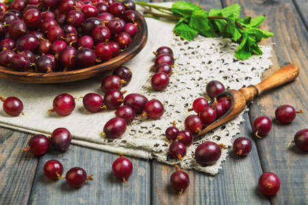 Ripe red purple berry gooseberries in wooden plate on gray wooden table. Gooseberry berries on the table cloth. Gooseberries in wood spoon, mint.の写真素材