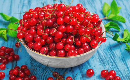 Ripe red currant berries in white bowl, redcurrants on blue wooden table, sprigs of mint, red currant on branchesの写真素材