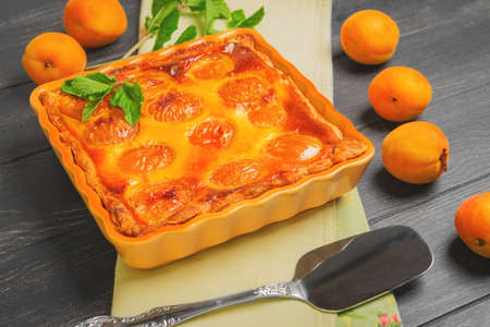 Fresh baked fruit pie tart with apricot cottage cheese. Apricot pie tart on the table, sprig of mint, cloth. Metal Shovel for apricot pie tart cake, dark black wooden background.の写真素材