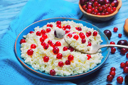 Blue plate with homemade cottage cheese granular curd. Red berries for cottage cheese granular curd cherry, red currant. Cottage cheese in spoon with berries. Blue wood background.の写真素材
