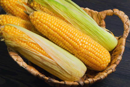 Fresh corn on the cob in wicker basket on brown wooden table. Purified corn cobs. Untreated corn cobs.の写真素材