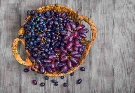 Bunches of blue purple grape small and large different varieties. Basket of grapes. Grapes on light white background wooden table. Top view.の写真素材
