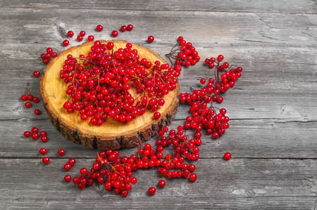 Red Viburnum berries on the round wooden board. Viburnum berries on the table, gray wooden rustic background. Red Guelder-rose berries.の写真素材