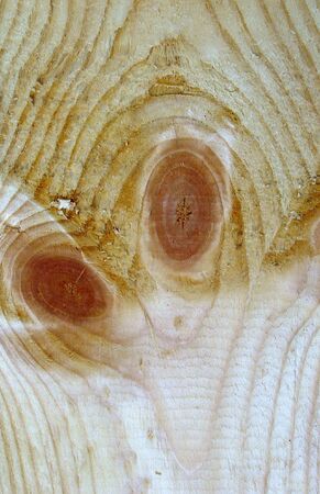 Knots on textured wooden plank like alien faceの写真素材