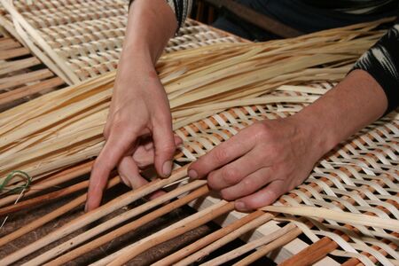 Female hands manually mastering wicker fabricの写真素材