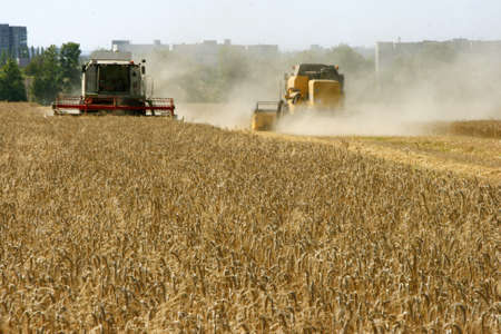 wheat field harvesting with agricultural machinery の写真素材