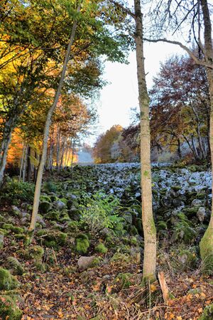 Lawa flow in automn in Franceの写真素材
