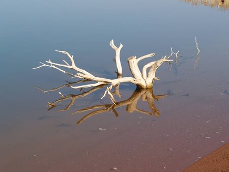 Still life in a lake in autumnの写真素材