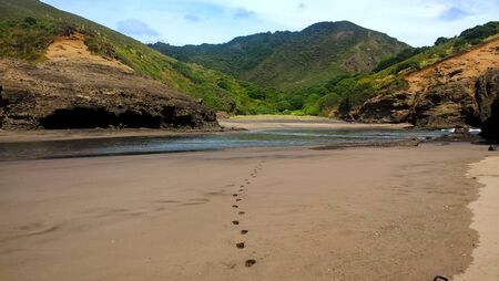 View from a Beach in New Zealand